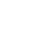 Gastos Médicos Mayores