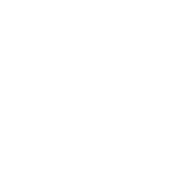 Seguros Colectivos