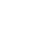 Seguros de Vida